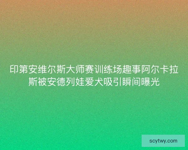 印第安维尔斯大师赛训练场趣事阿尔卡拉斯被安德列娃爱犬吸引瞬间曝光