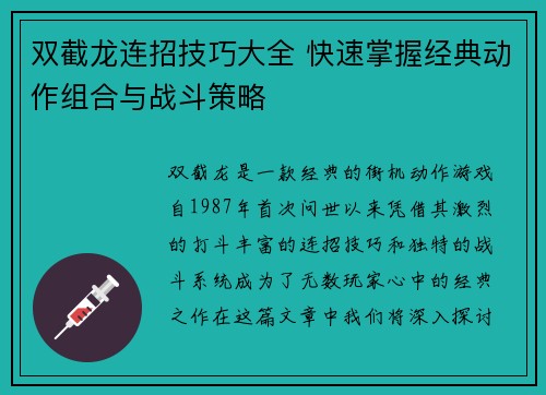 双截龙连招技巧大全 快速掌握经典动作组合与战斗策略